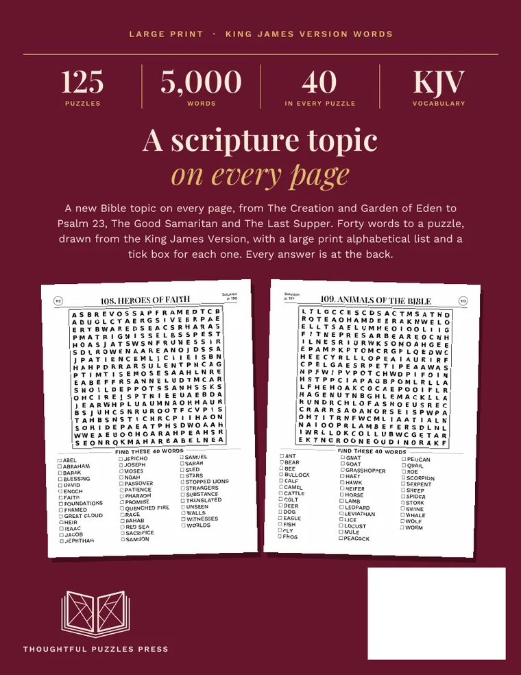 Back cover of Large Print Bible Word Search for Adults